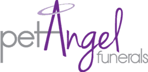 Pet Angel